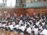 DSCF9176