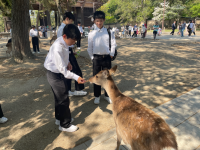 3年4組_学級活動_伊藤　宙代_(コピー)修学旅行_113