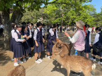 3年4組_学級活動_伊藤　宙代_(コピー)修学旅行_114