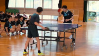 WIN_20260414_14_31_30_Pro