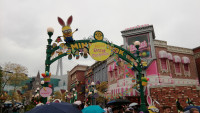 IMG_20250428_115325
