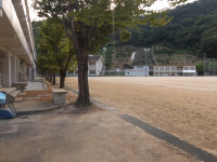 IMGP0003