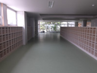 IMGP0019