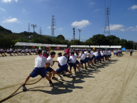 DSC01552